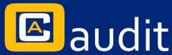 OCA Audit